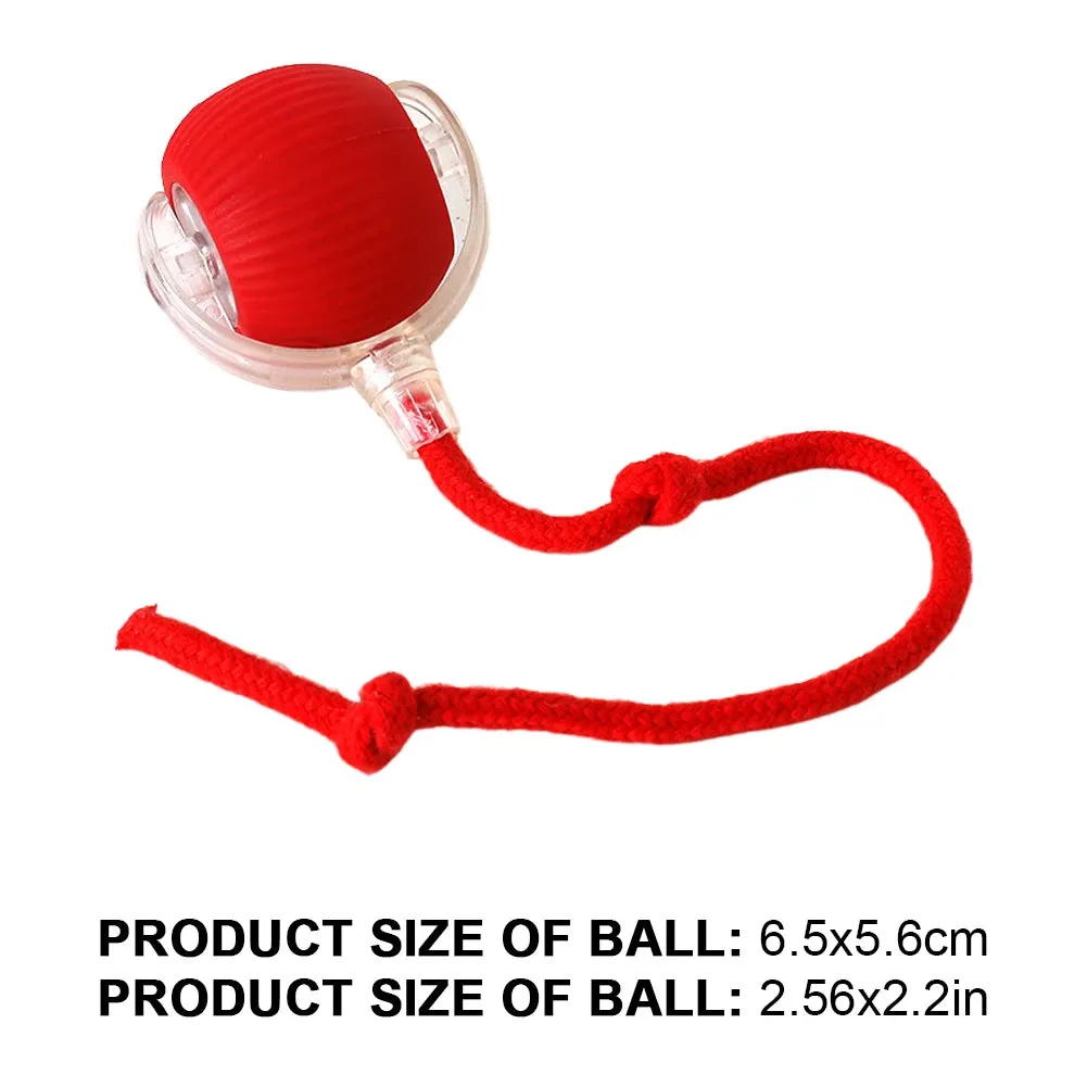 2PC/1PC Cat Interactive Ball Toys Automatic Rolling Ball Rechargeable Self Rotating Ball Fast Rolling Ball for Indoor Cat Kitten