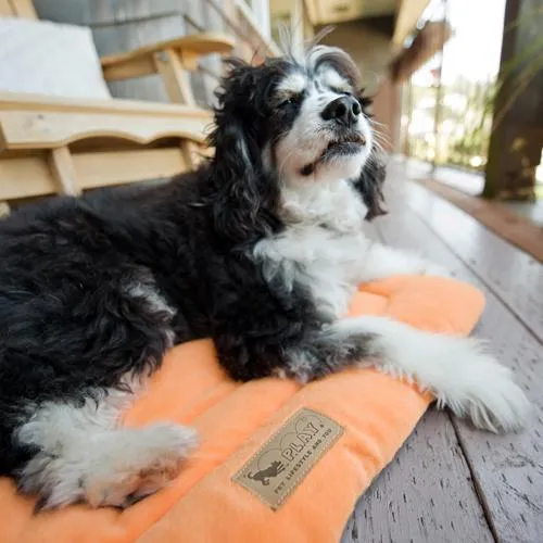 Chill Pad Dog Bed Pumpkin