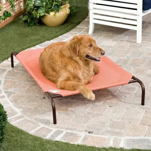 Coolaroo Elevated Knitted Fabric Cat & Dog Bed (Green)