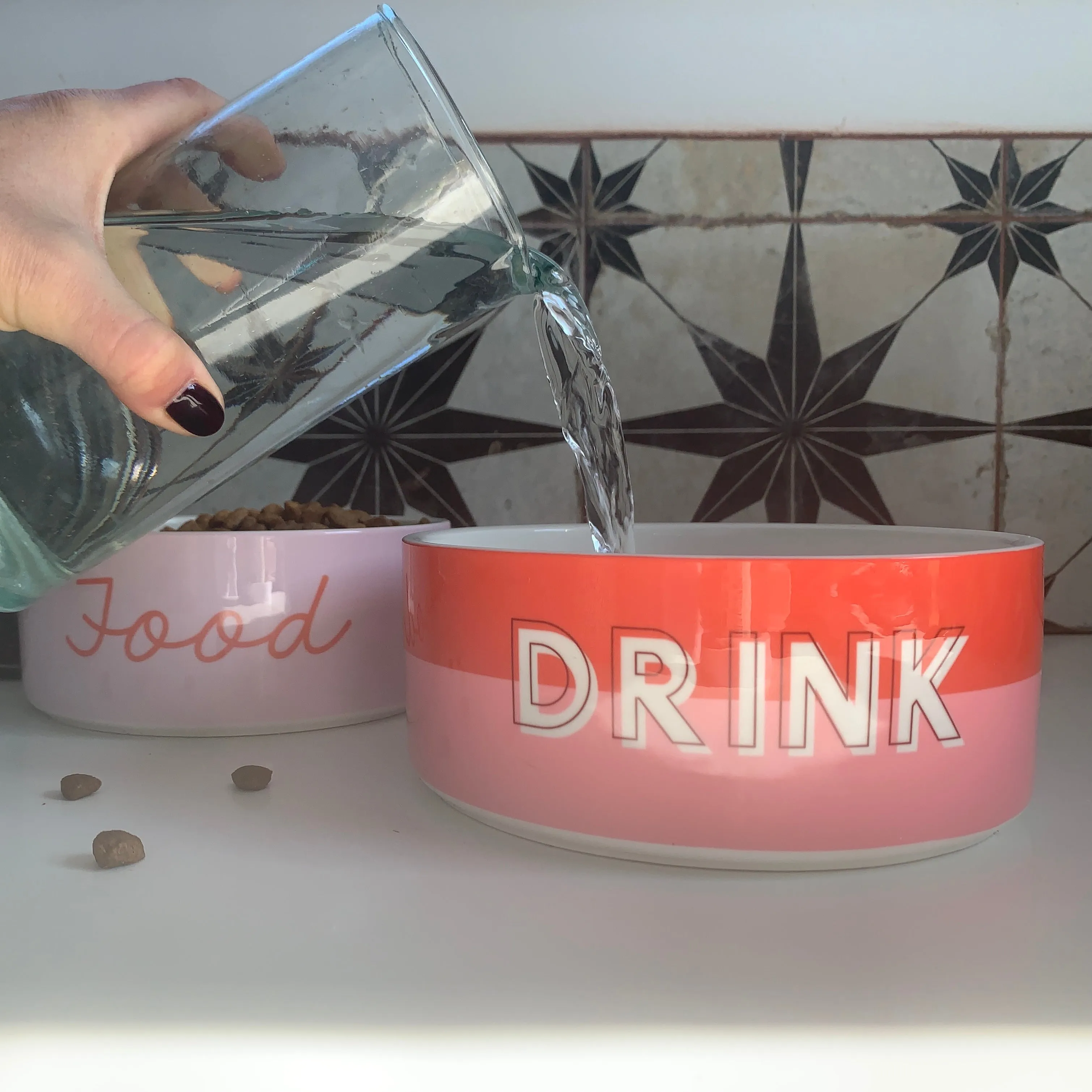 Custom Color Duo Dog Bowl