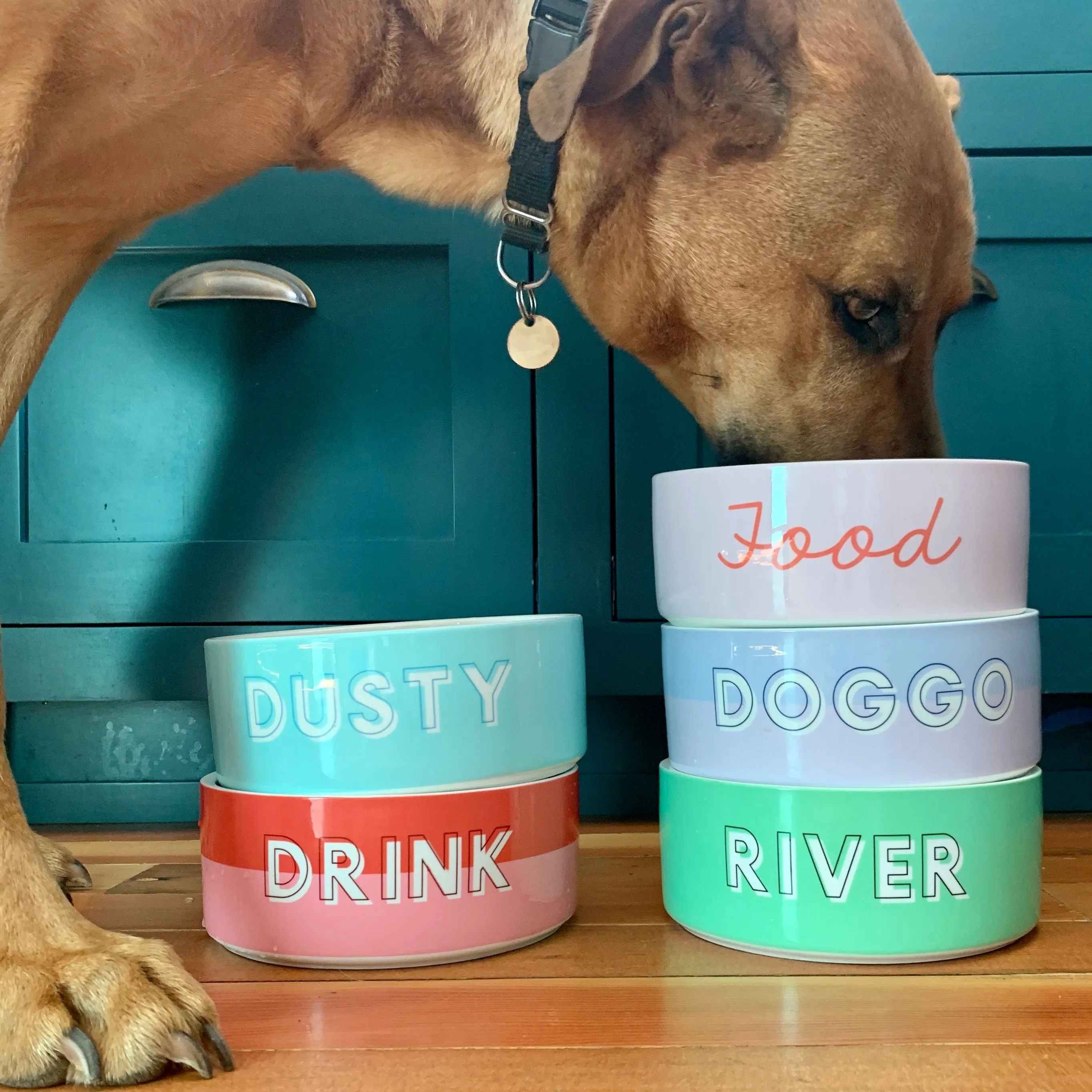 Custom Color Duo Dog Bowl