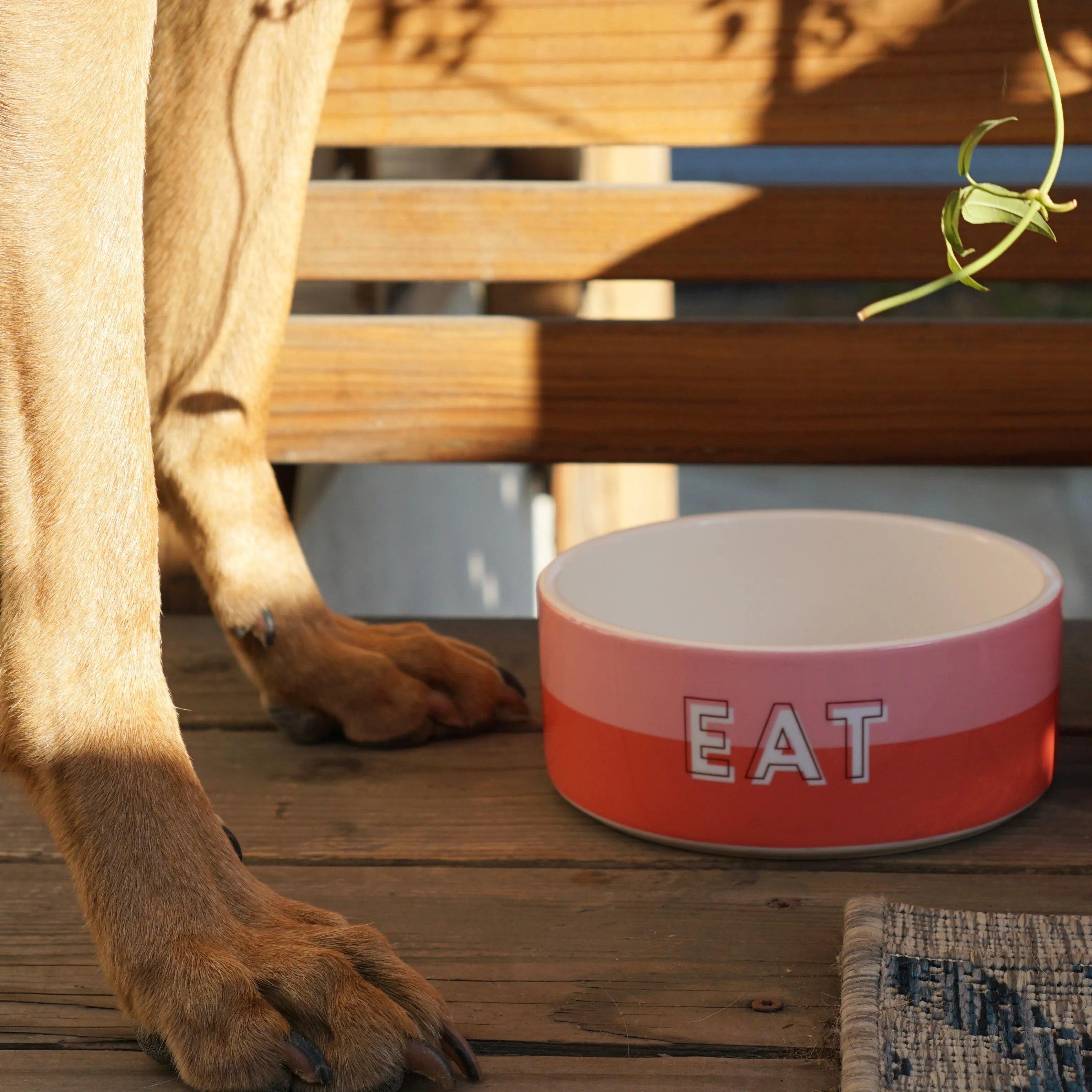 Custom Color Duo Dog Bowl