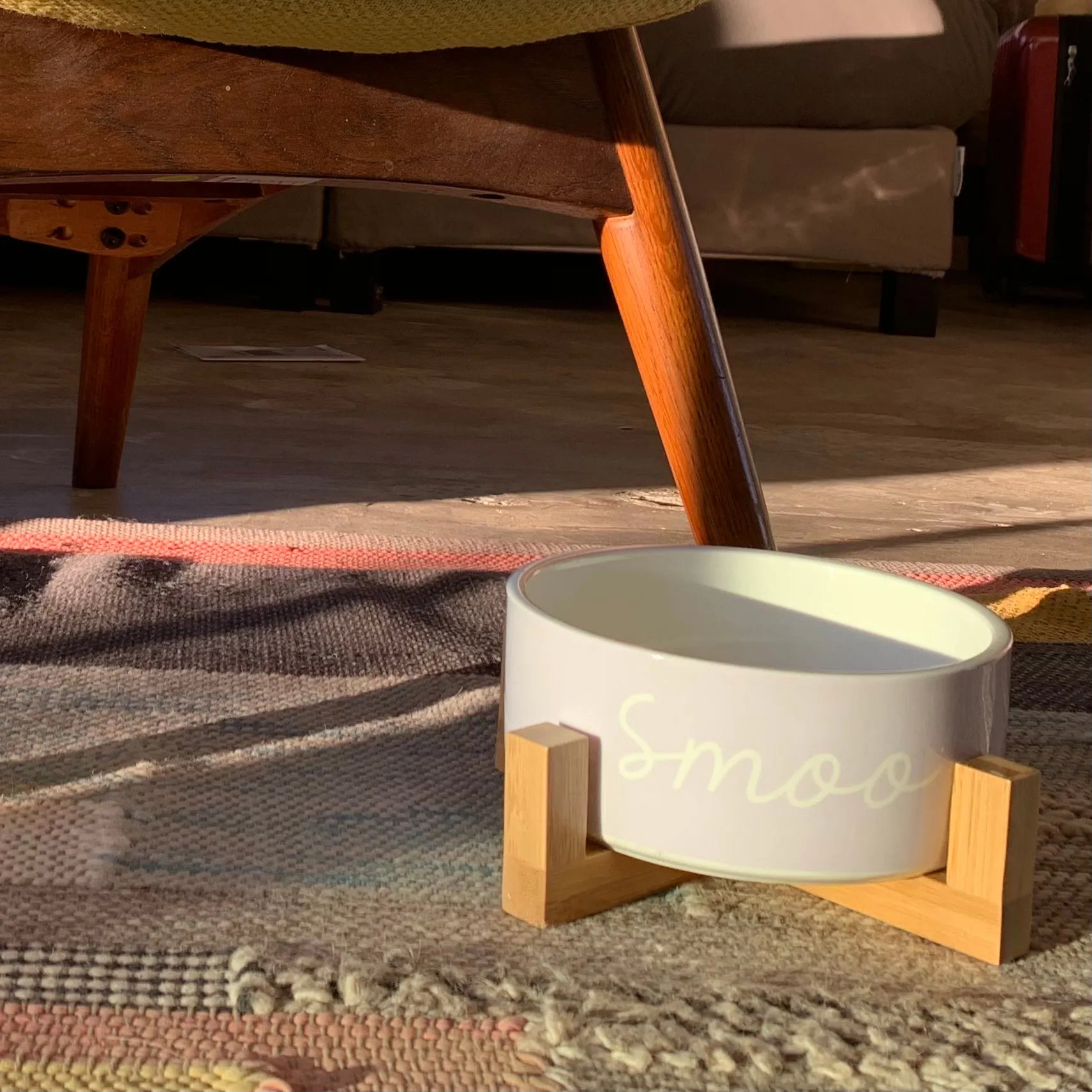 Custom Solid Color Dog Bowl