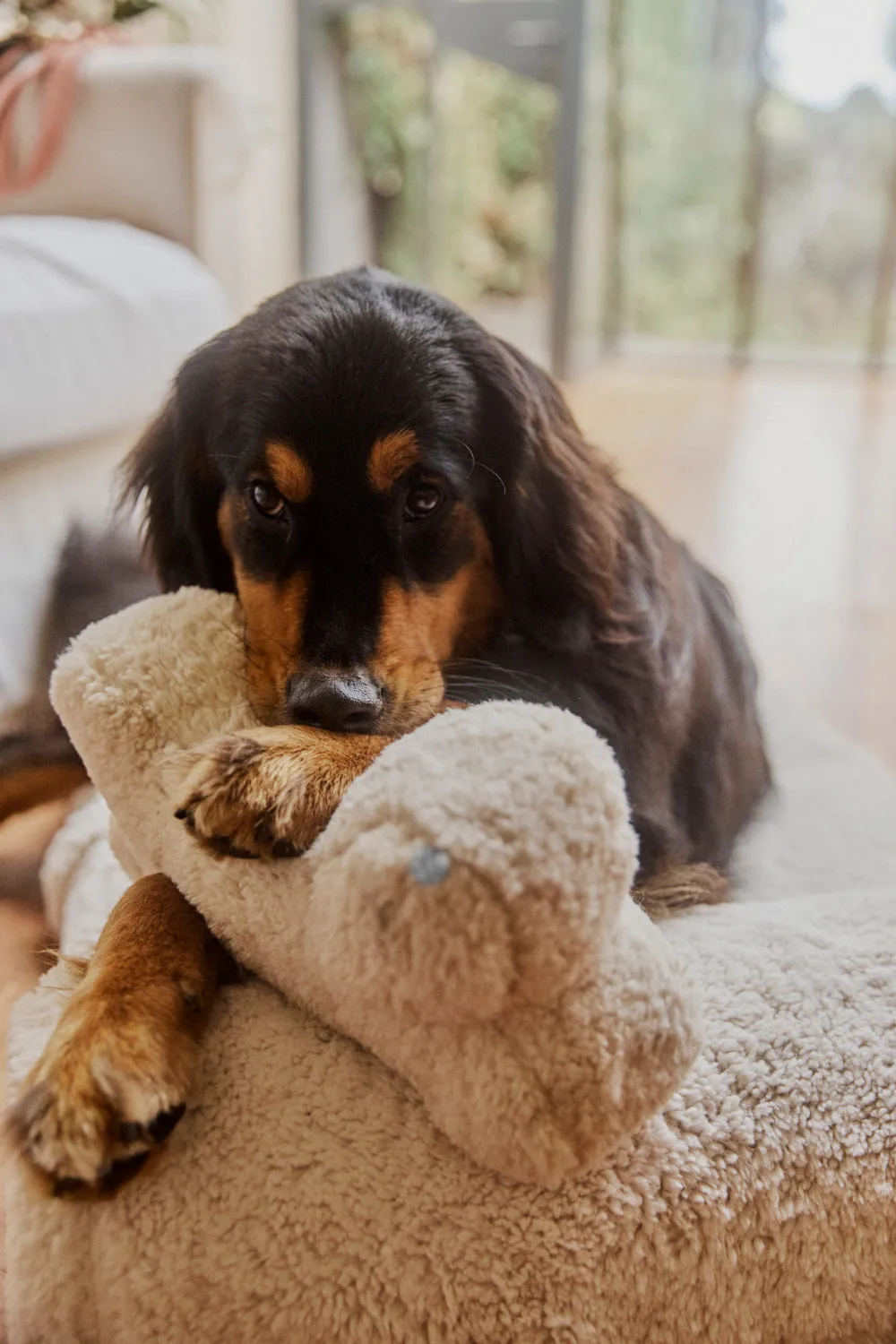 Faux Fur Pet Bed - Marshmallow