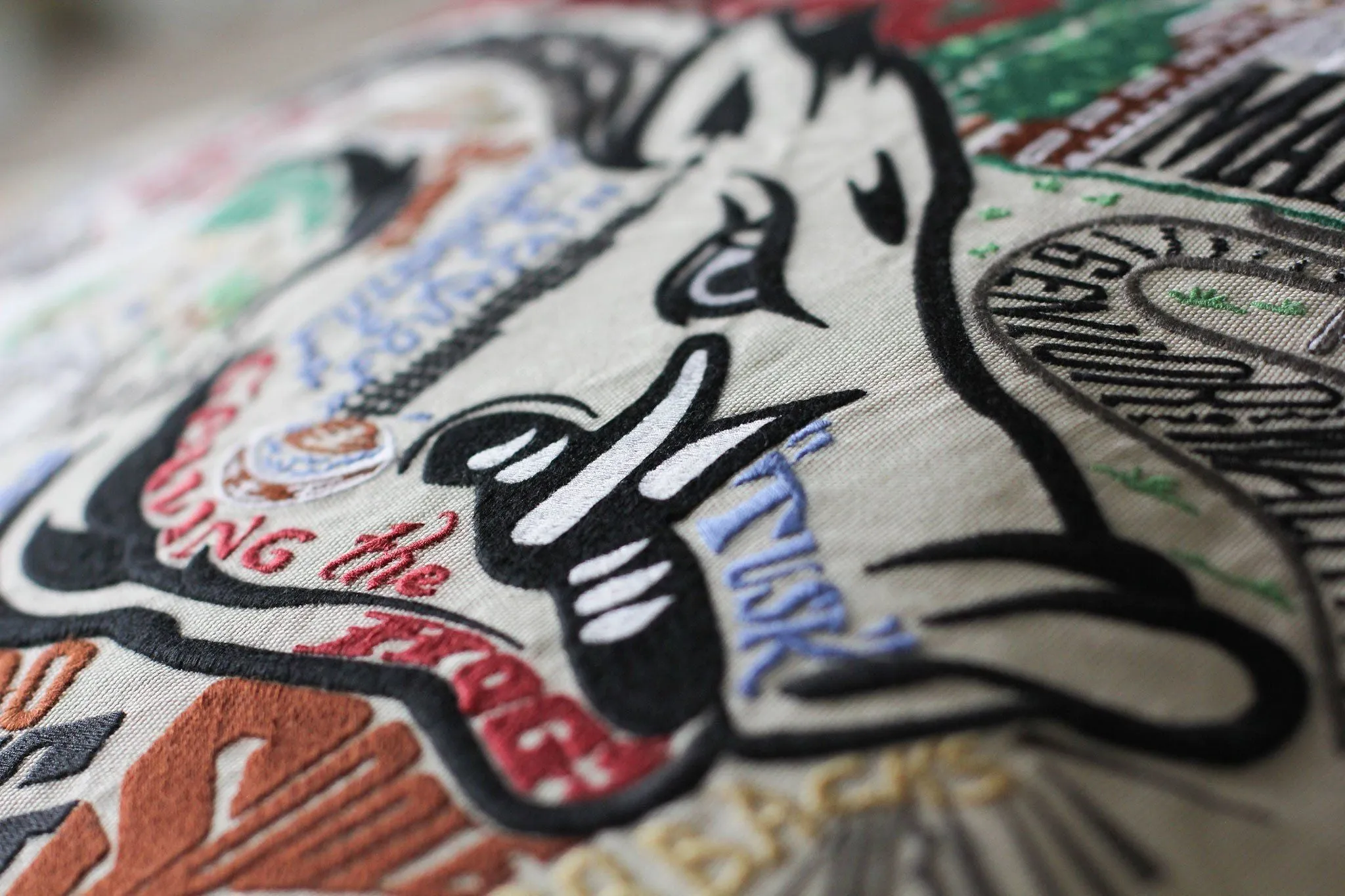 UNIVERSITY OF ARKANSAS PILLOW BY CATSTUDIO